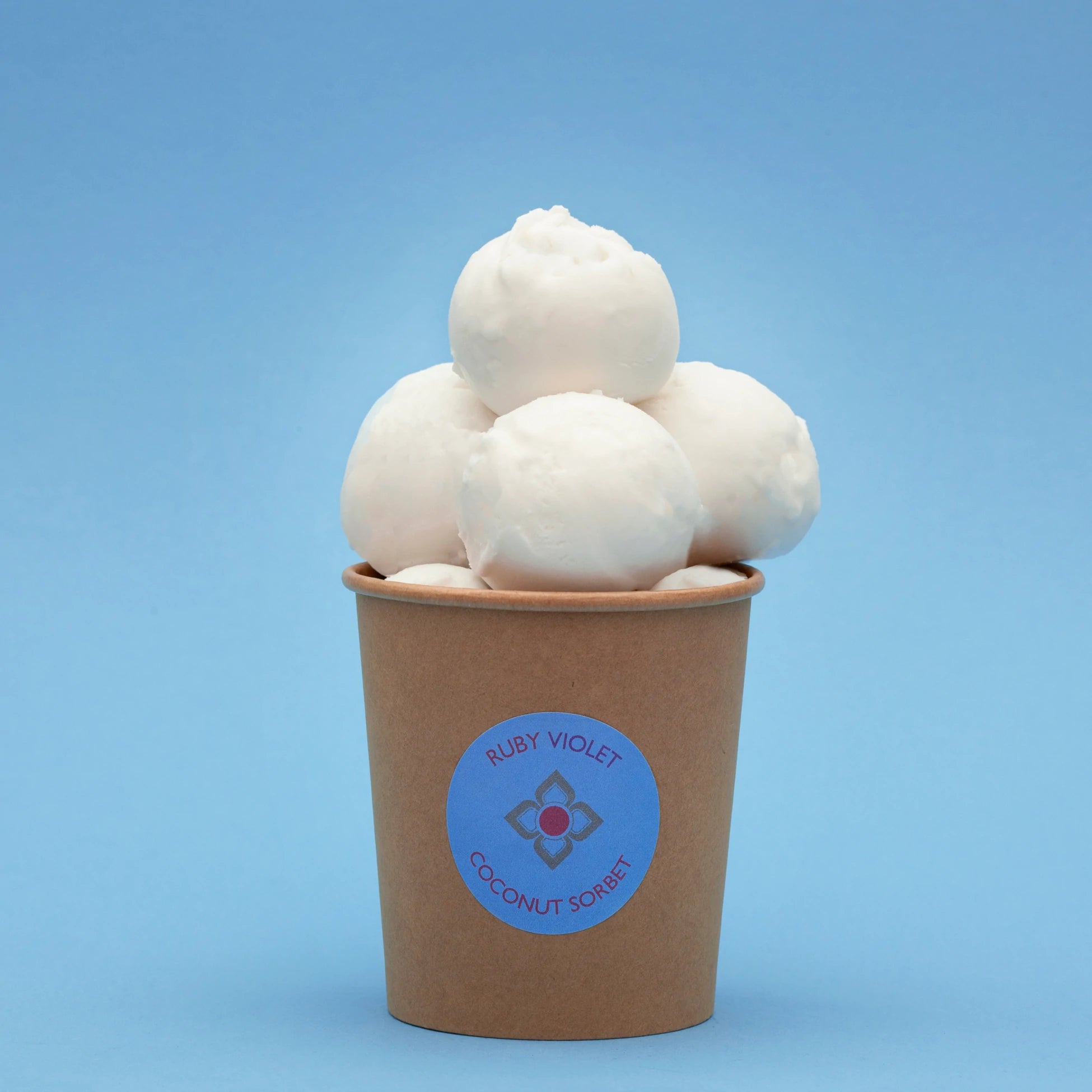 Coconut sorbet tub