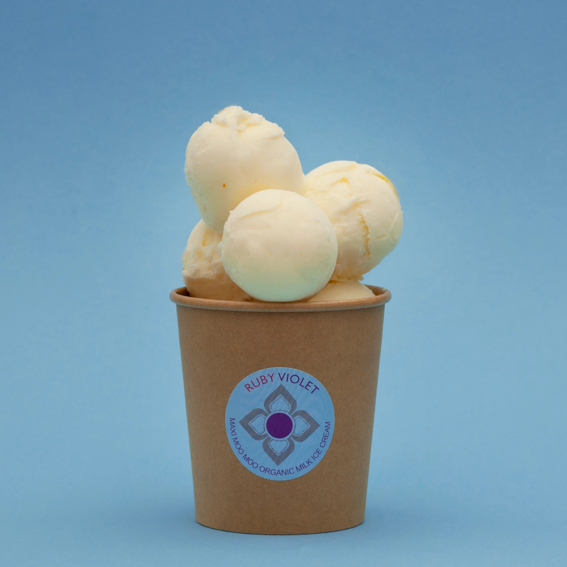 Maxi Moo Moo organic milk ice cream tub