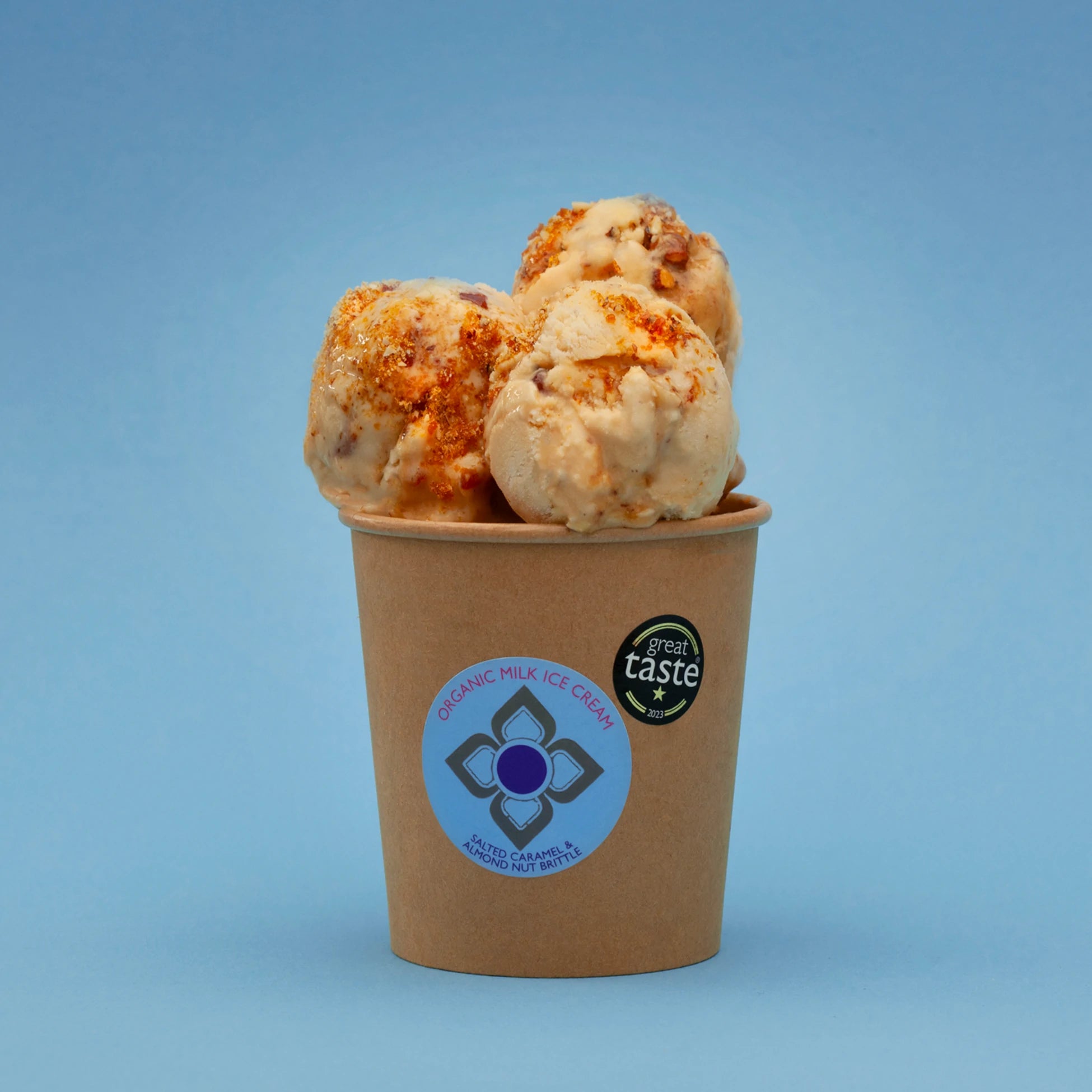 Salted Caramel & Almond Nut Brittle ice cream