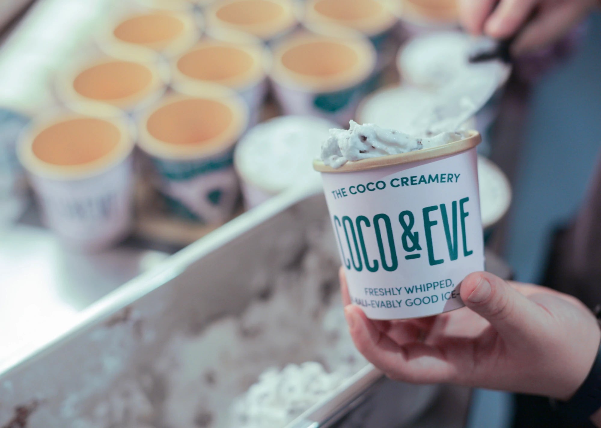 Coconut and Chocolate chip sorbet tub