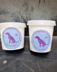 Two tubs of Scoopy Doo doggy ice cream