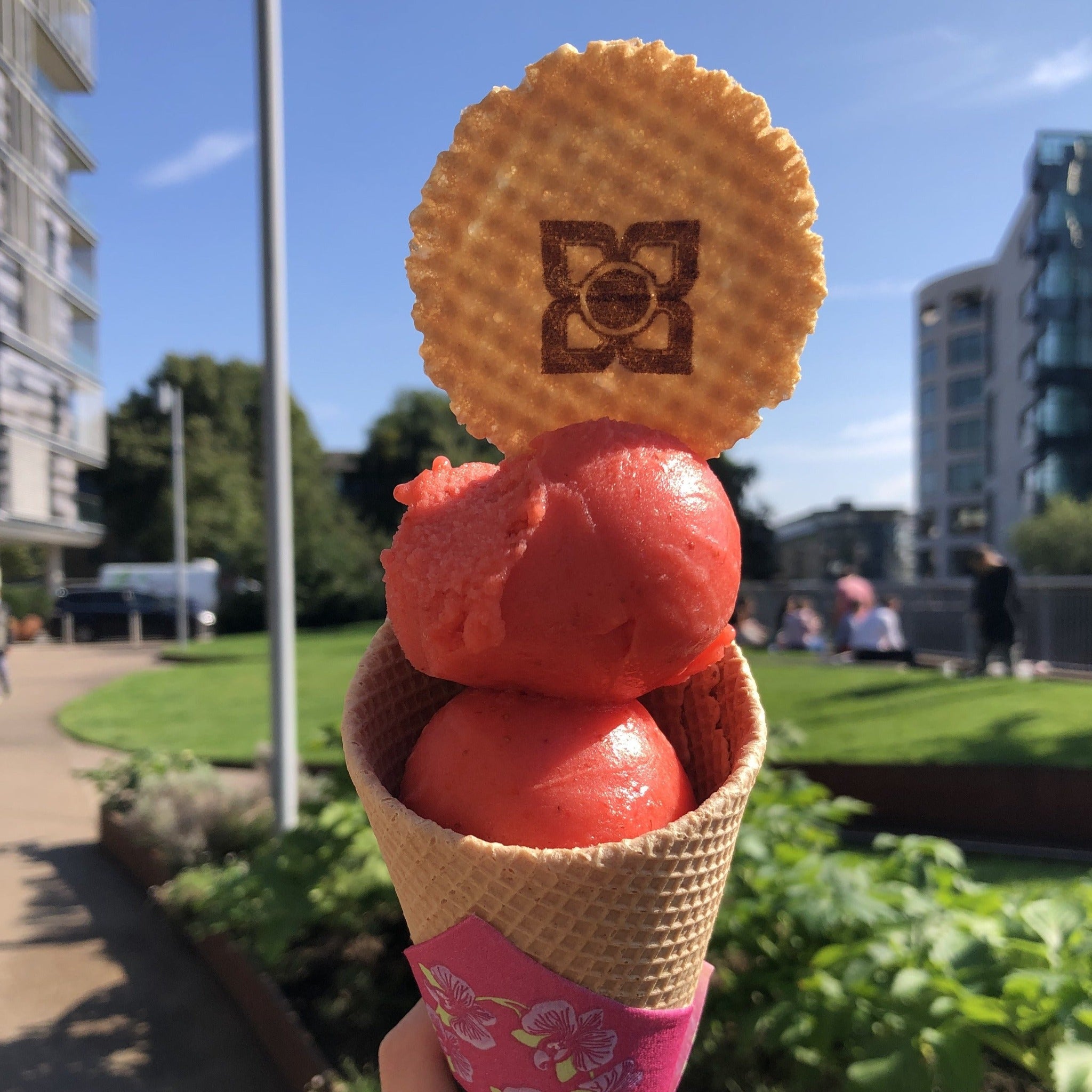 Two scoops of strawberry sorbet in a cone with a wafer