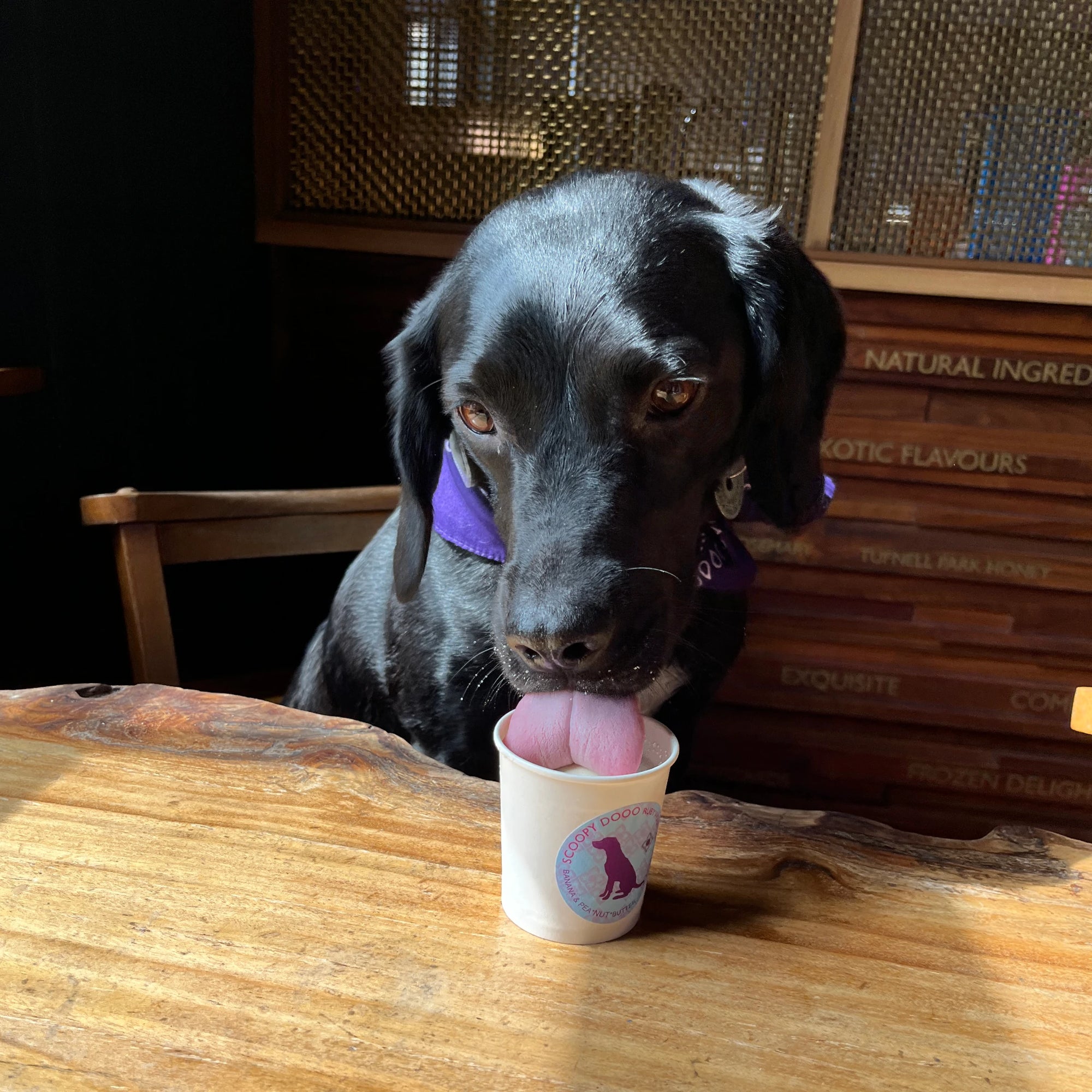 Frank enjoying his Scoopy Doo in the King&#39;s Cross parlour