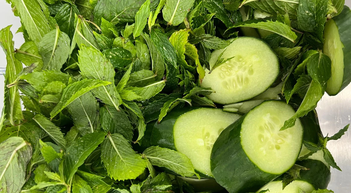 Fresh mint and cucumbers