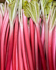FORCED RHUBARB (S) - Ruby Violet Ice Cream & Sorbet