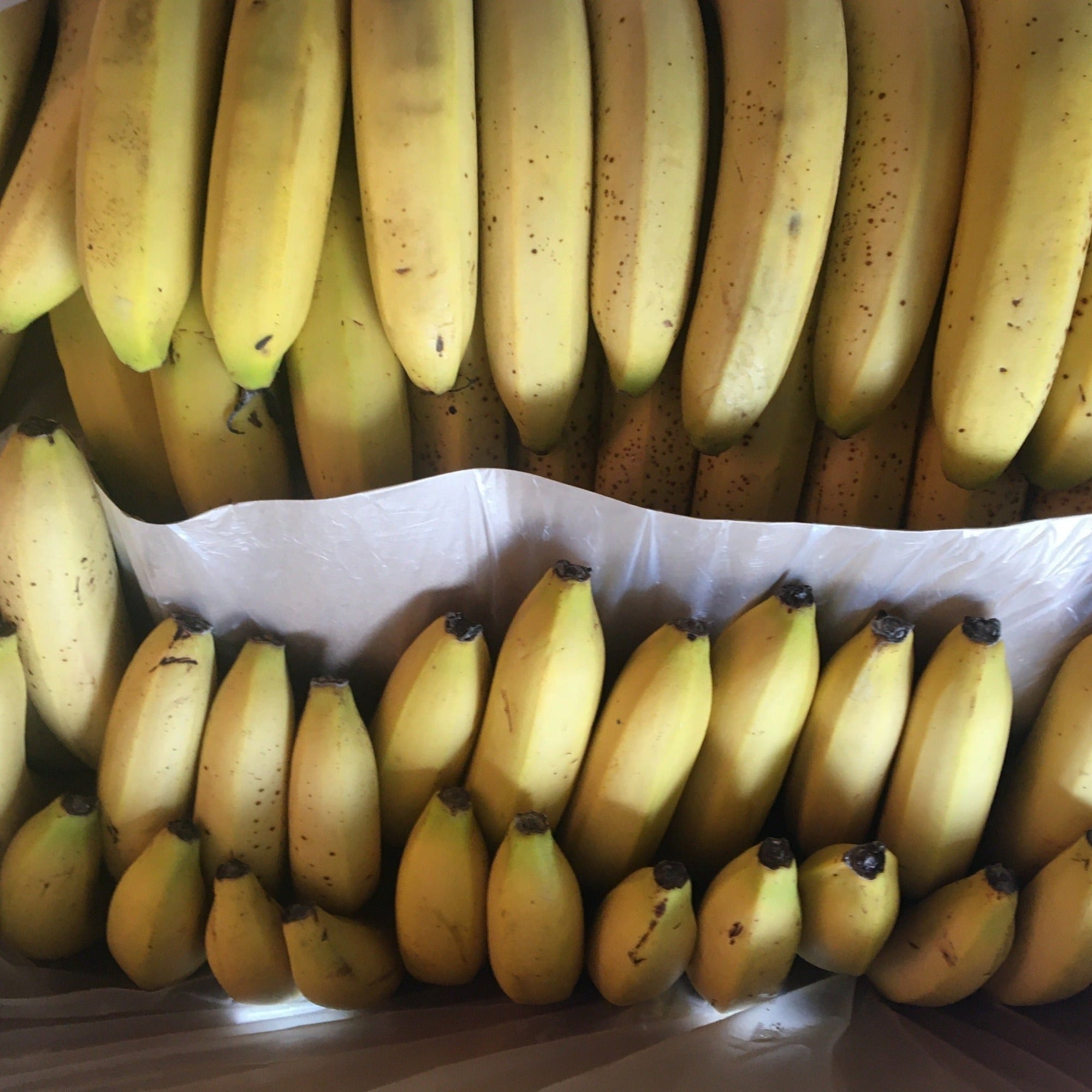 Ripe bananas ready to be turned into ice cream