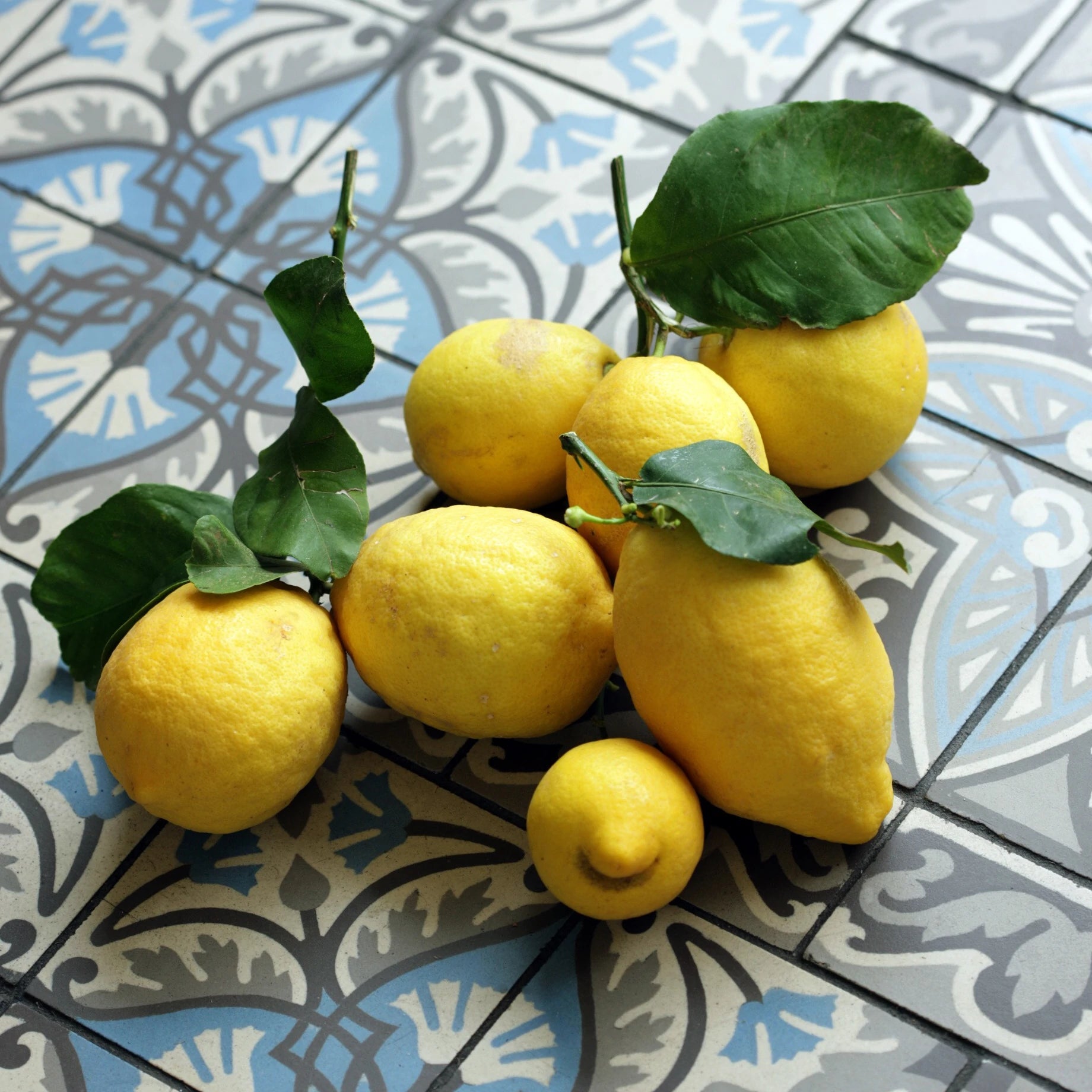 Organic italian Lemons on a vintage tiled floor