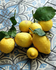 Organic italian Lemons on a vintage tiled floor