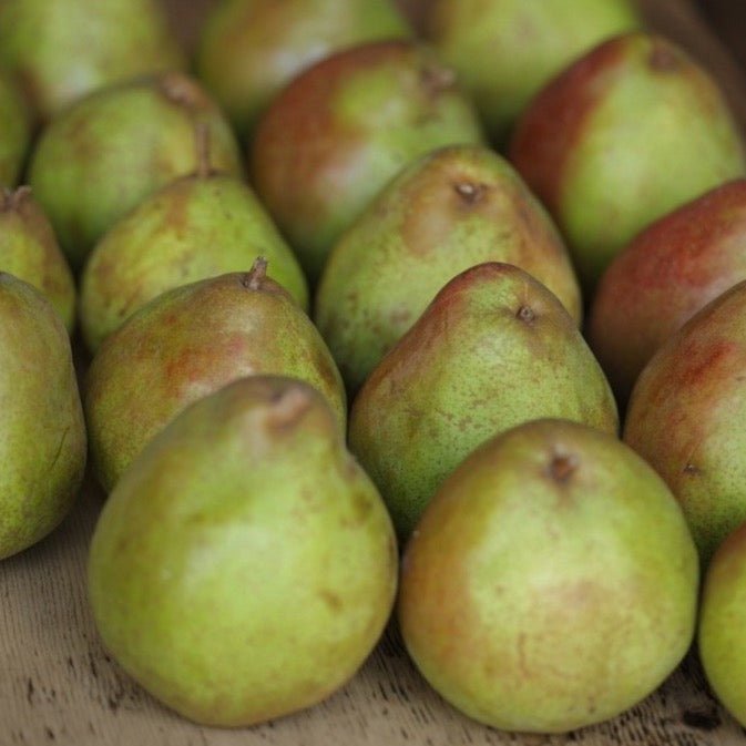 Comice Pear (S) - Ruby Violet Ice Cream &amp; Sorbet