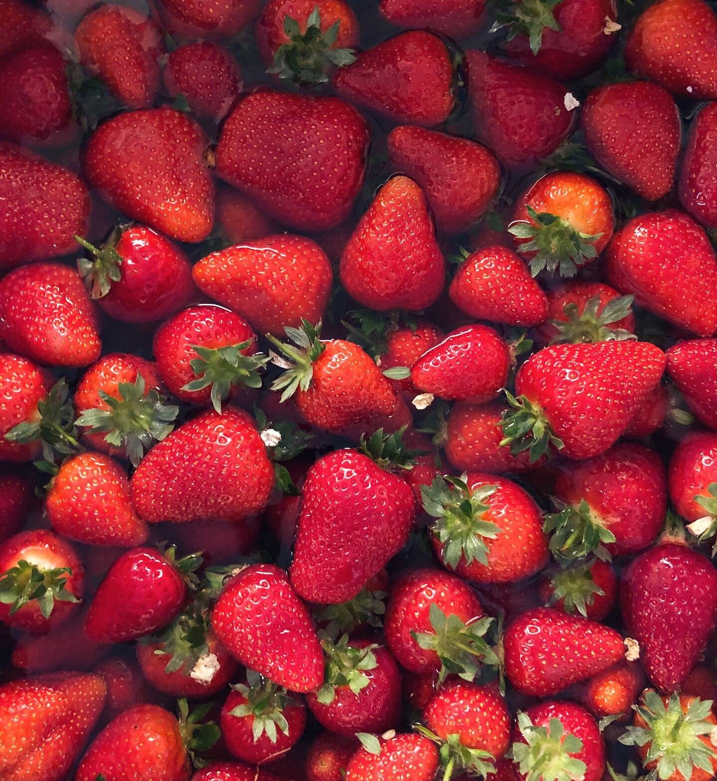ENGLISH STRAWBERRY RIPPLE - Ruby Violet Ice Cream & Sorbet