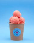 Strawberry Sorbet medium tub