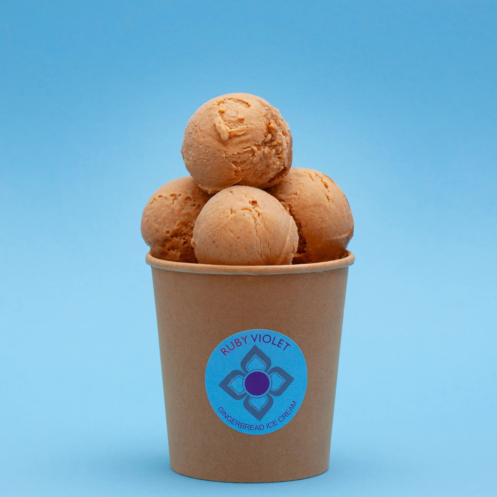 Gingerbread ice cream medium tub