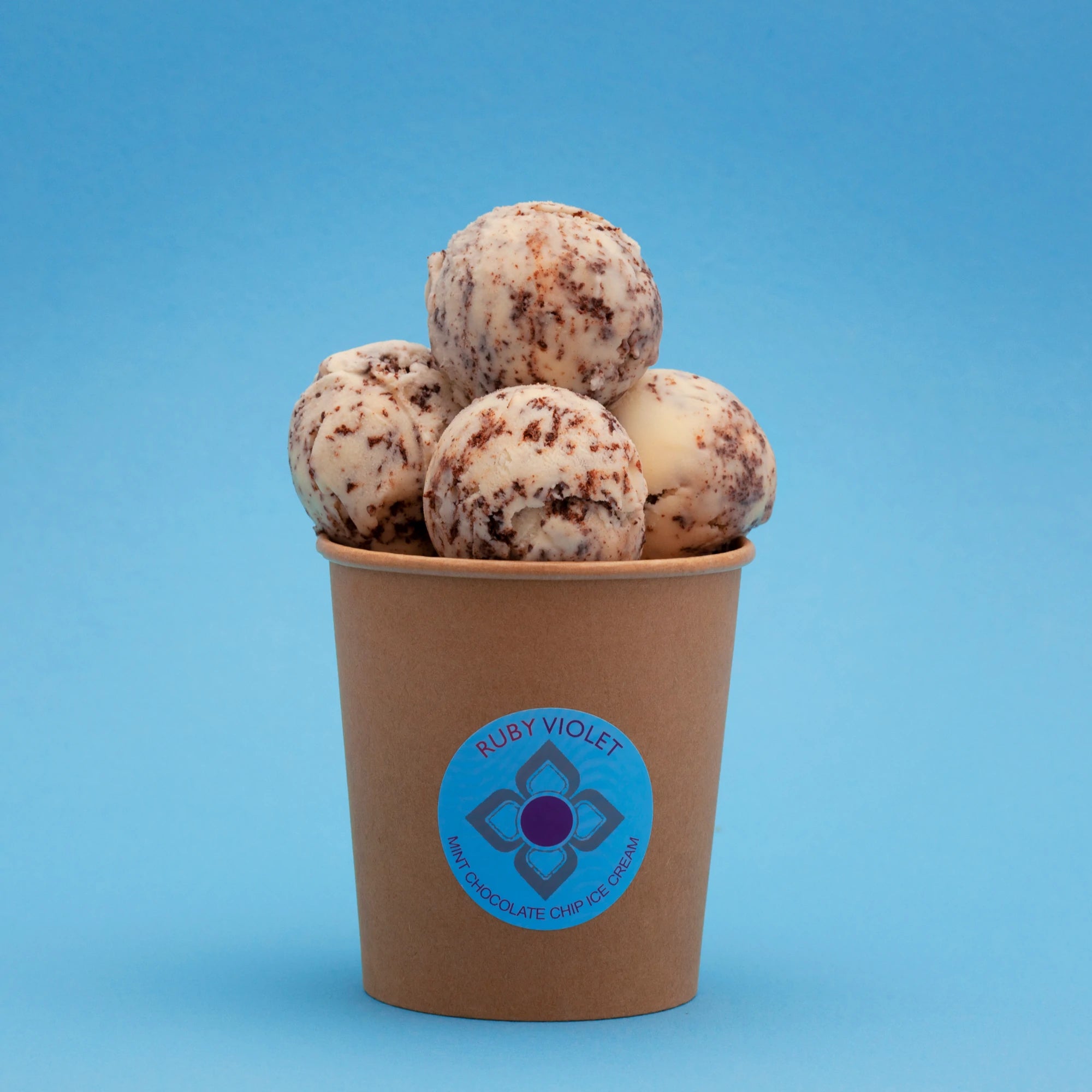 Mint Chocolate Chip medium ice cream tub