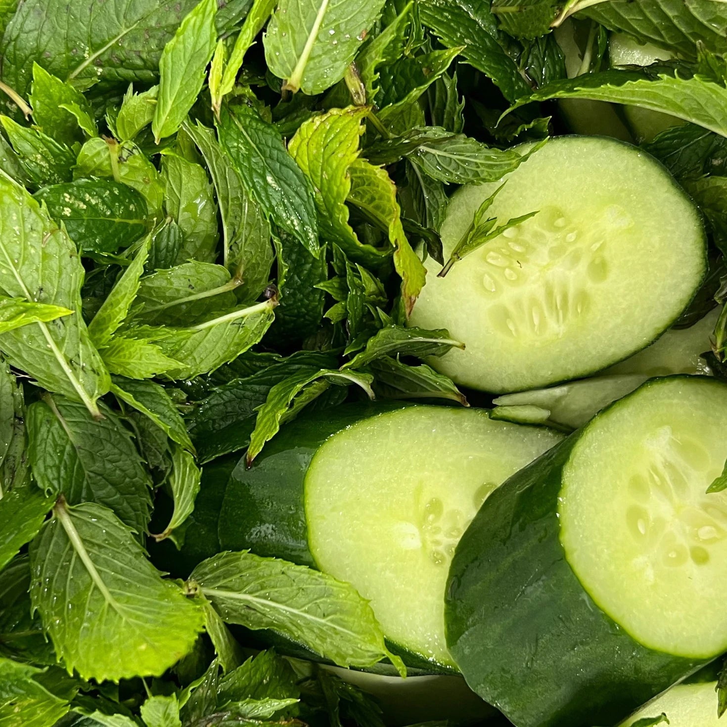 Fresh mint and cucumber during sorbet prep