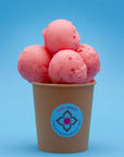 Raspberry Rosewater & Prosecco medium sorbet tub