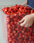 British strawberries during preparation